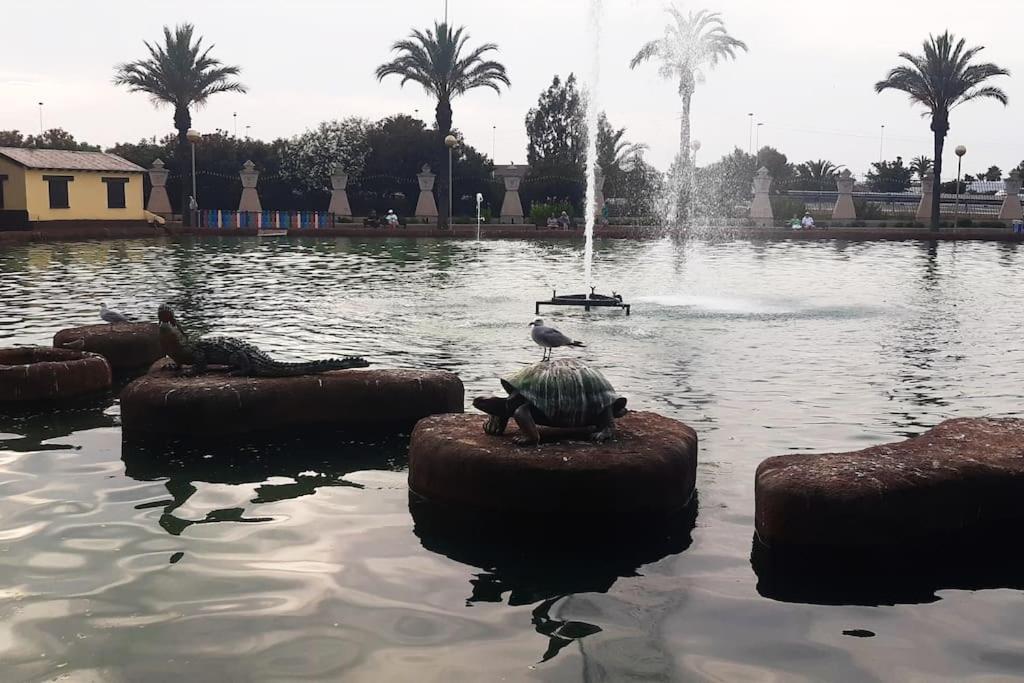 דירות טורבייחה Adventure Harbour מראה חיצוני תמונה