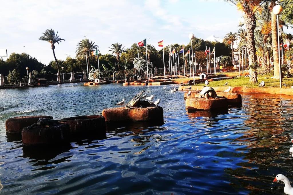 דירות טורבייחה Adventure Harbour מראה חיצוני תמונה